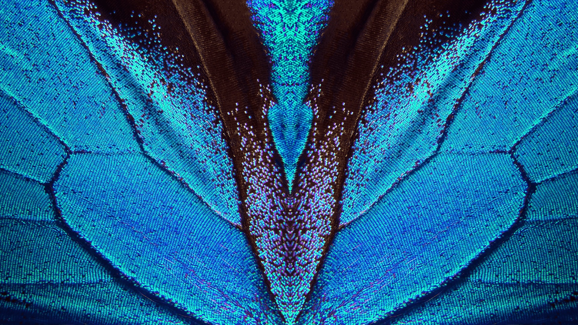 When the Wings Are Wet